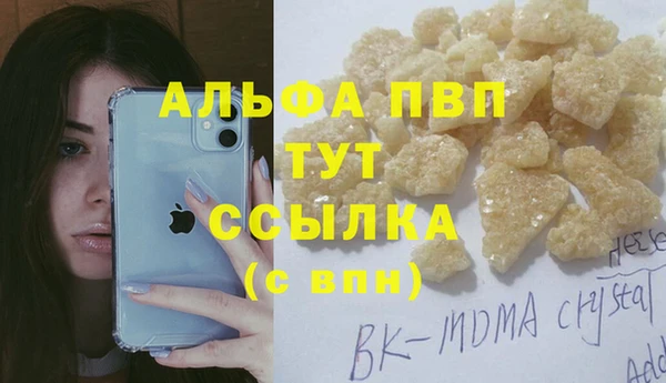 spice Аркадак