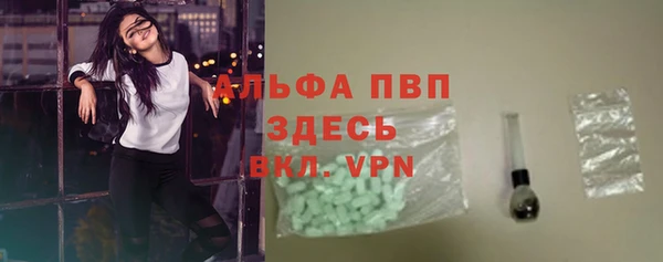 spice Аркадак