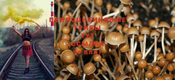 spice Аркадак