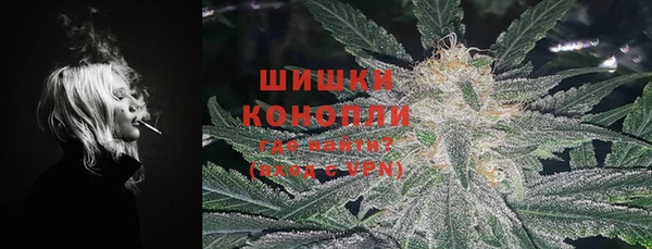 spice Аркадак