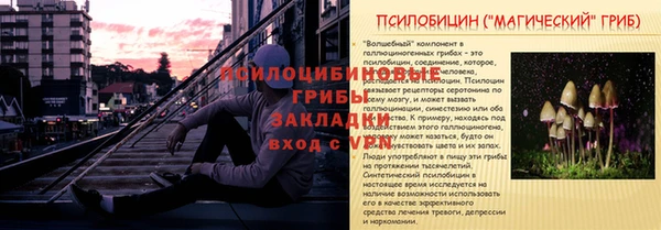 spice Аркадак
