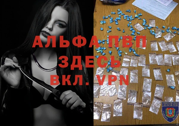 spice Аркадак