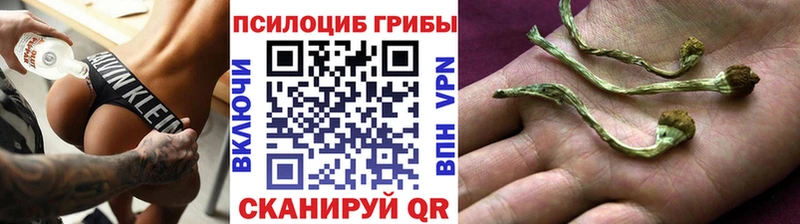Галлюциногенные грибы Psilocybe Пыть-Ях